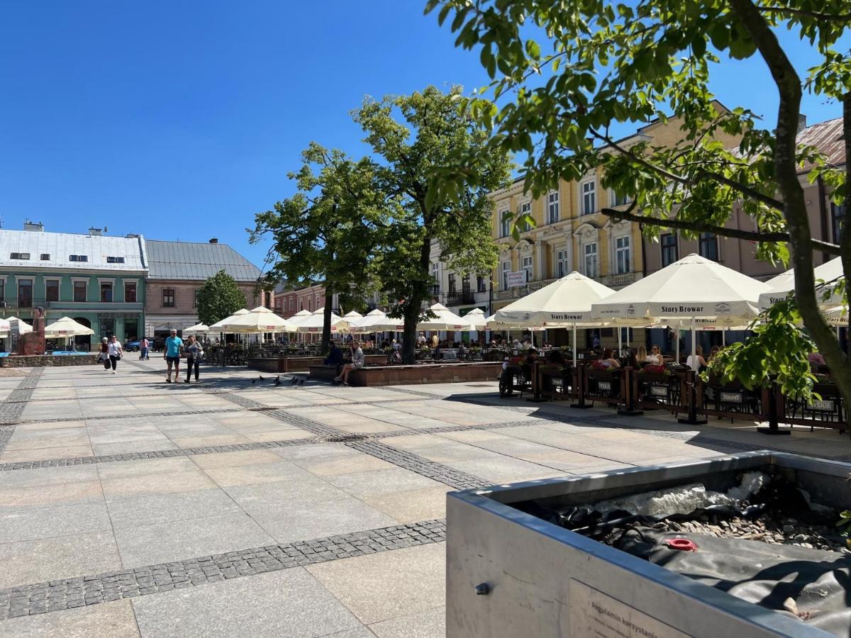 Family & Business Sauna Apartments Sienkiewicza No1 Centrum Plac Lliteratow- Piekny Apartament - 1 Bedroom With Private Sauna, Bath With Hydromassage, Parking Kielce Luaran gambar